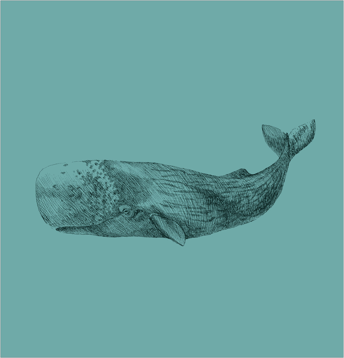 Whale Shower Curtain